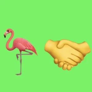 Flamingo Handshake #2