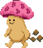 Agrocybe