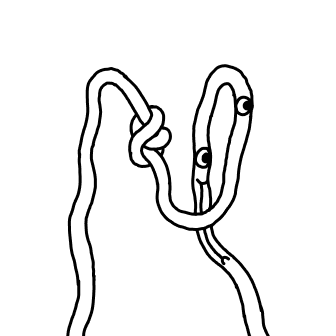 Knot 254