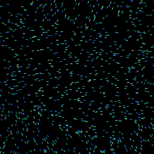 Drift #041