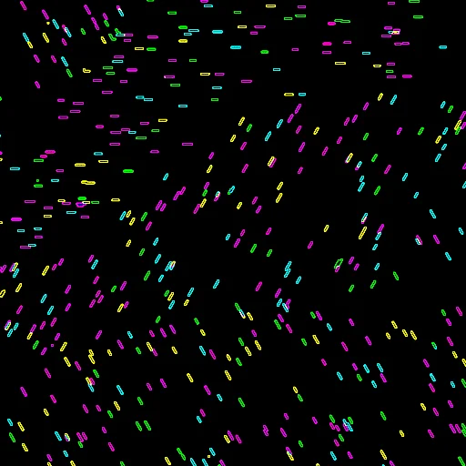 Drift #016