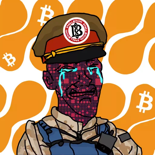 #118871686