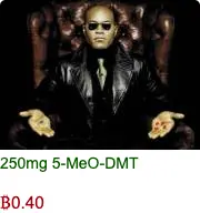 #95916356