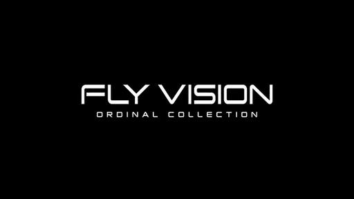 Fly Vision