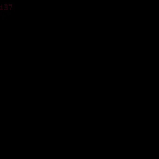 Lot 137