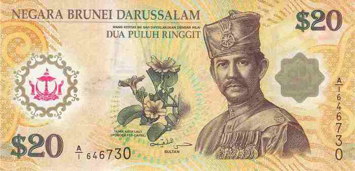 20 Ringgit