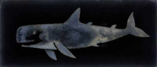 One Fish, Two Fish No. 12 (Happy Whale, Jonah)