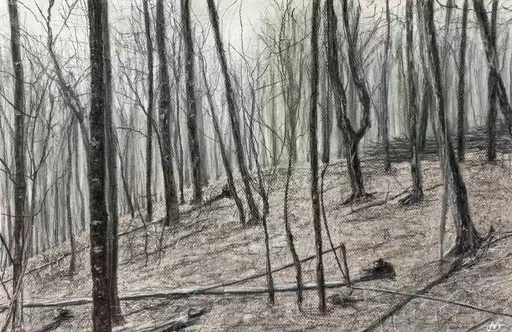 Winter Forest