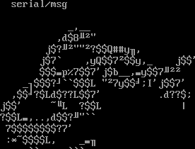 Serial:msg