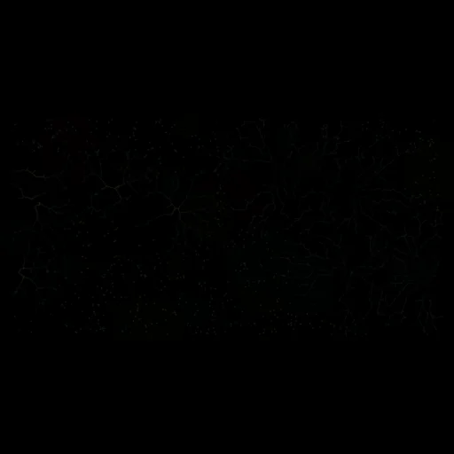 #72957007