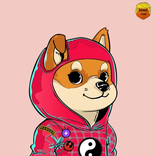 DOG #1504