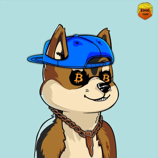 DOG #1509