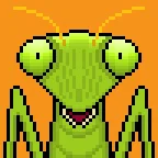 Praying Mantis Punk