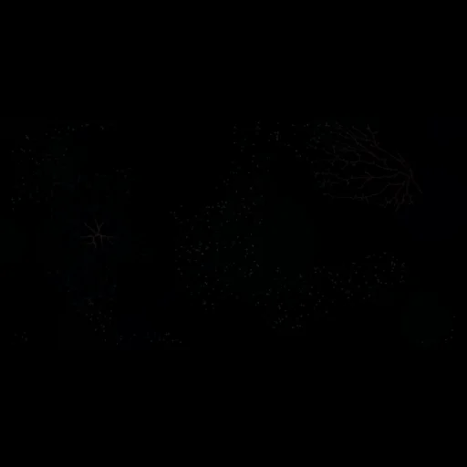 #72951768
