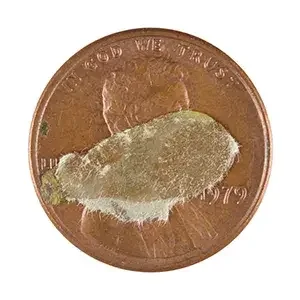 Cent #608