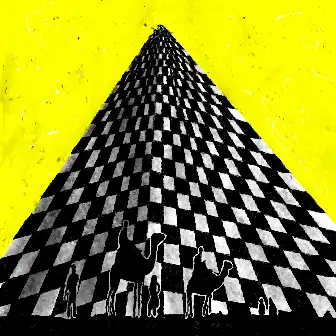 Persona #337
