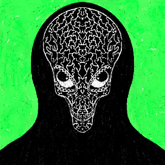 Persona #733