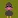 OrdGoose #6666