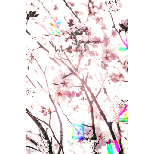 Blooming #89