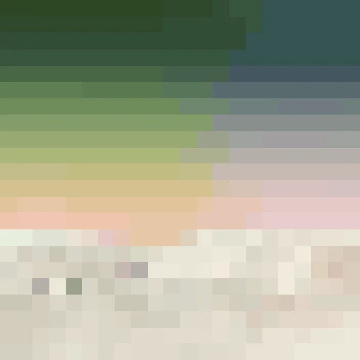 Photosynthesis 391