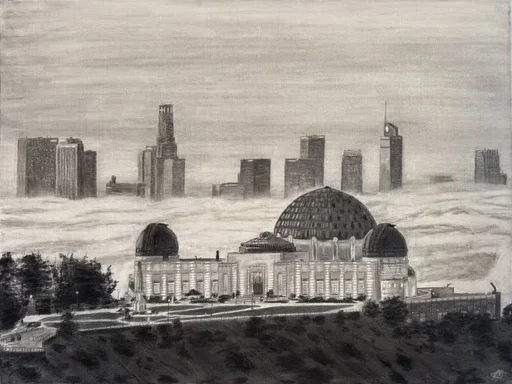 Observer in the Mist