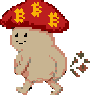 Morel