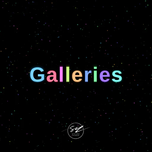 Steven Morse Galleries