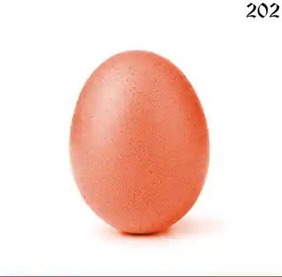 #71265
