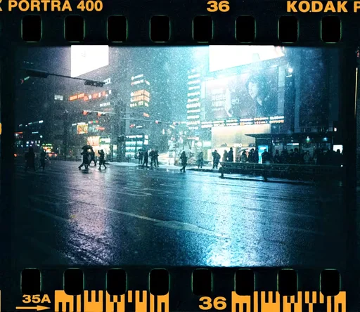 FRAME #36